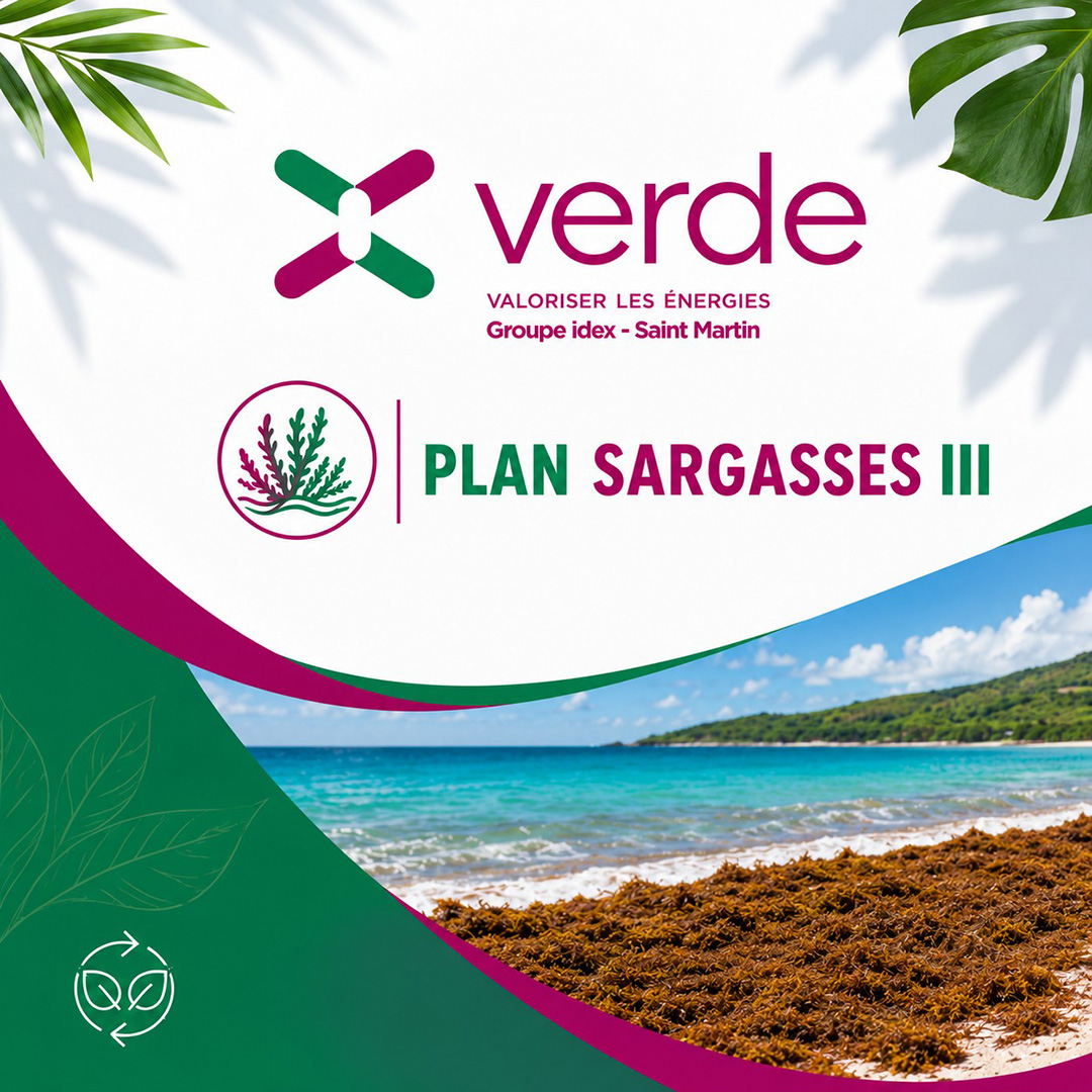 Verde a eu l’honneur d’accueillir le coordinateur national du Plan Sargasses III